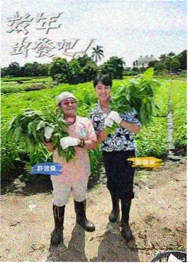 一分钟面试 职场综艺免费在线观看封面